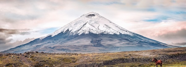 Cotopaxi Volcano Bike & Hike Tour