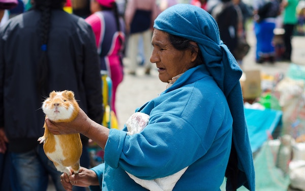 Otavalo Quitsato Cuicocha Tour