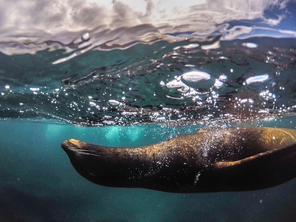 Galapagos Island Hopping on a Budget