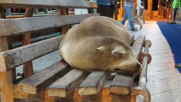 Galapagos Island Hopping on a Budget
