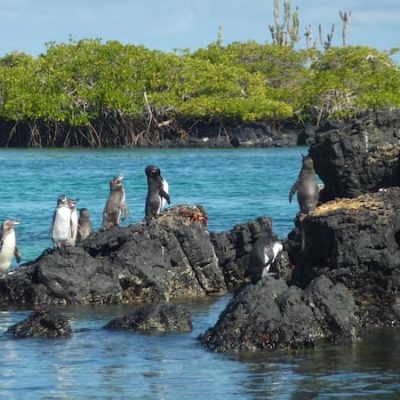 Galapagos Island Hopping on a Budget